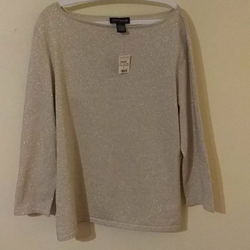 Ann Taylor Sweater